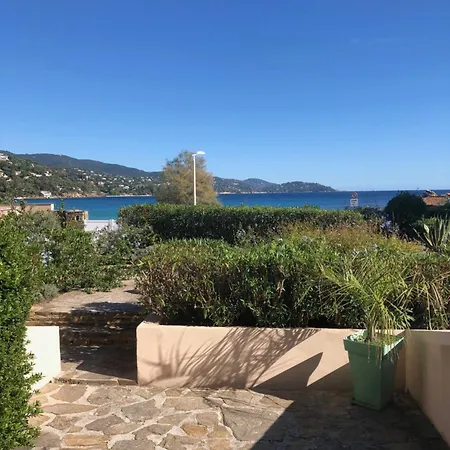 Les Pieds Dans L'eau Le Lavandou
