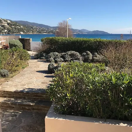 Les Pieds Dans L'eau *