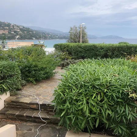 Les Pieds Dans L'eau Apartment Le Lavandou