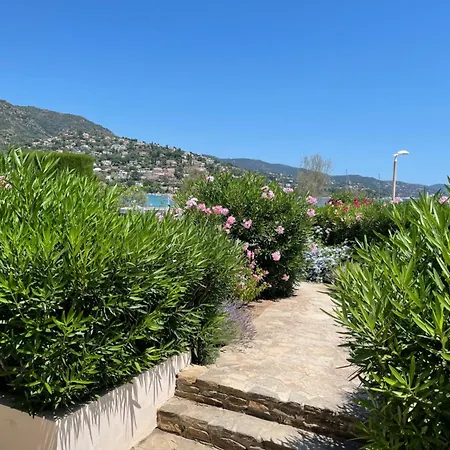 Les Pieds Dans L'eau Апартаменты