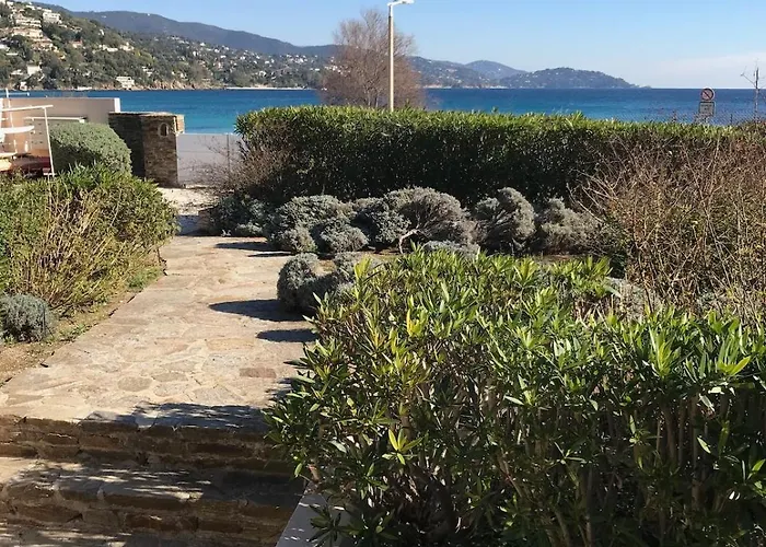 Les Pieds Dans L'eau *