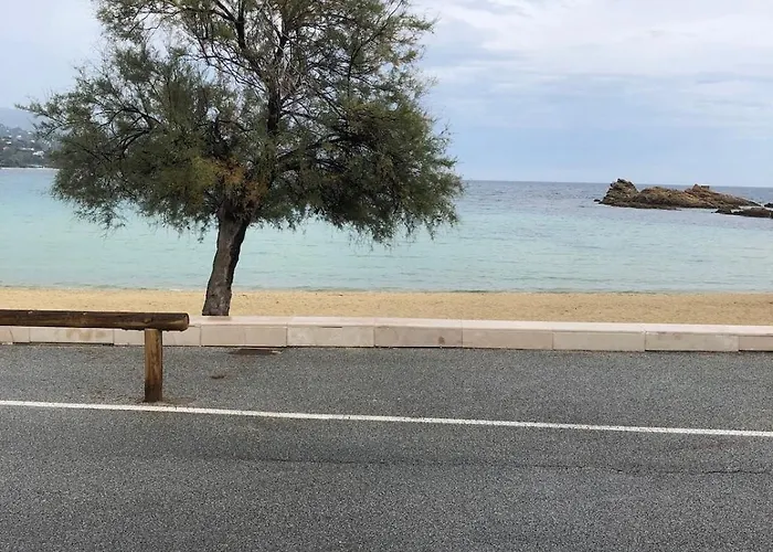 Les Pieds Dans L'eau *